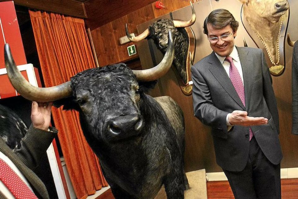 martagg82's tweet image. Mañueco se gasta en toros la prevención de Incendios. 
Ahora vas y lo vuelves a votar.