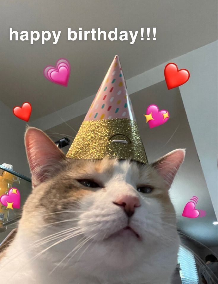 Amaan (@jhonkahawakaa) on Twitter photo Many many Happy returns of the day Deshi <a href="/rosabelle_xoo/">๐น๐๐๐๐๐๐๐๐หส๐</a> ๐๐ฅณ
Wish you a Happiest B'day may all your dreams & wishes come true.. Many many Happy returns of the day Deshi <a href="/rosabelle_xoo/">๐น๐๐๐๐๐๐๐๐หส๐</a> ๐๐ฅณ
Wish you a Happiest B'day may all your dreams & wishes come true..