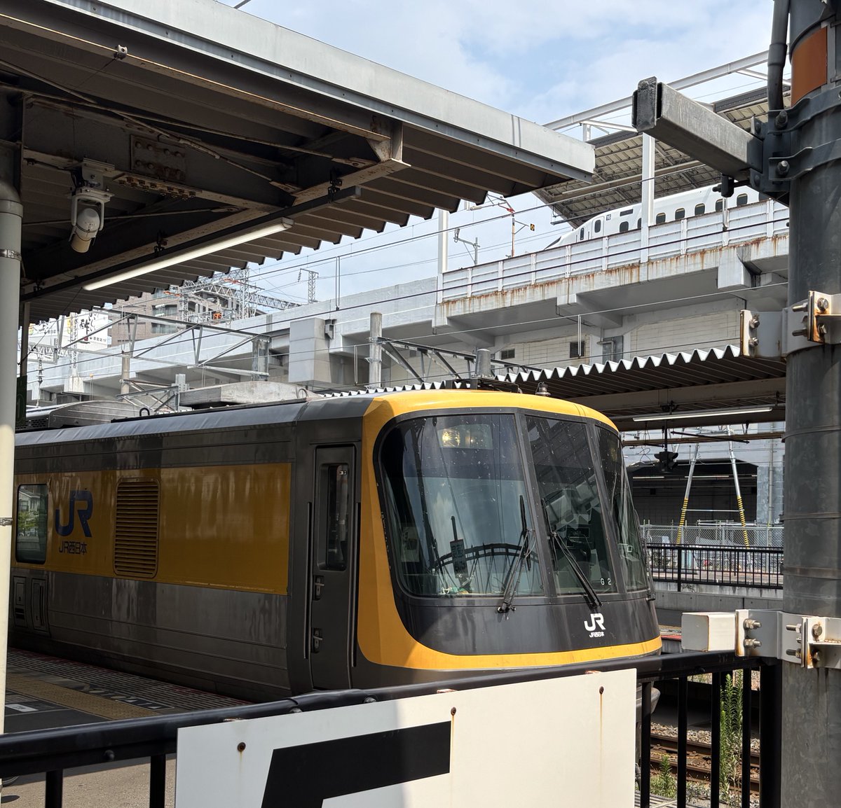 ドクターWESTさんもいました(急いでたんで雑)全員知らない子なので調べました