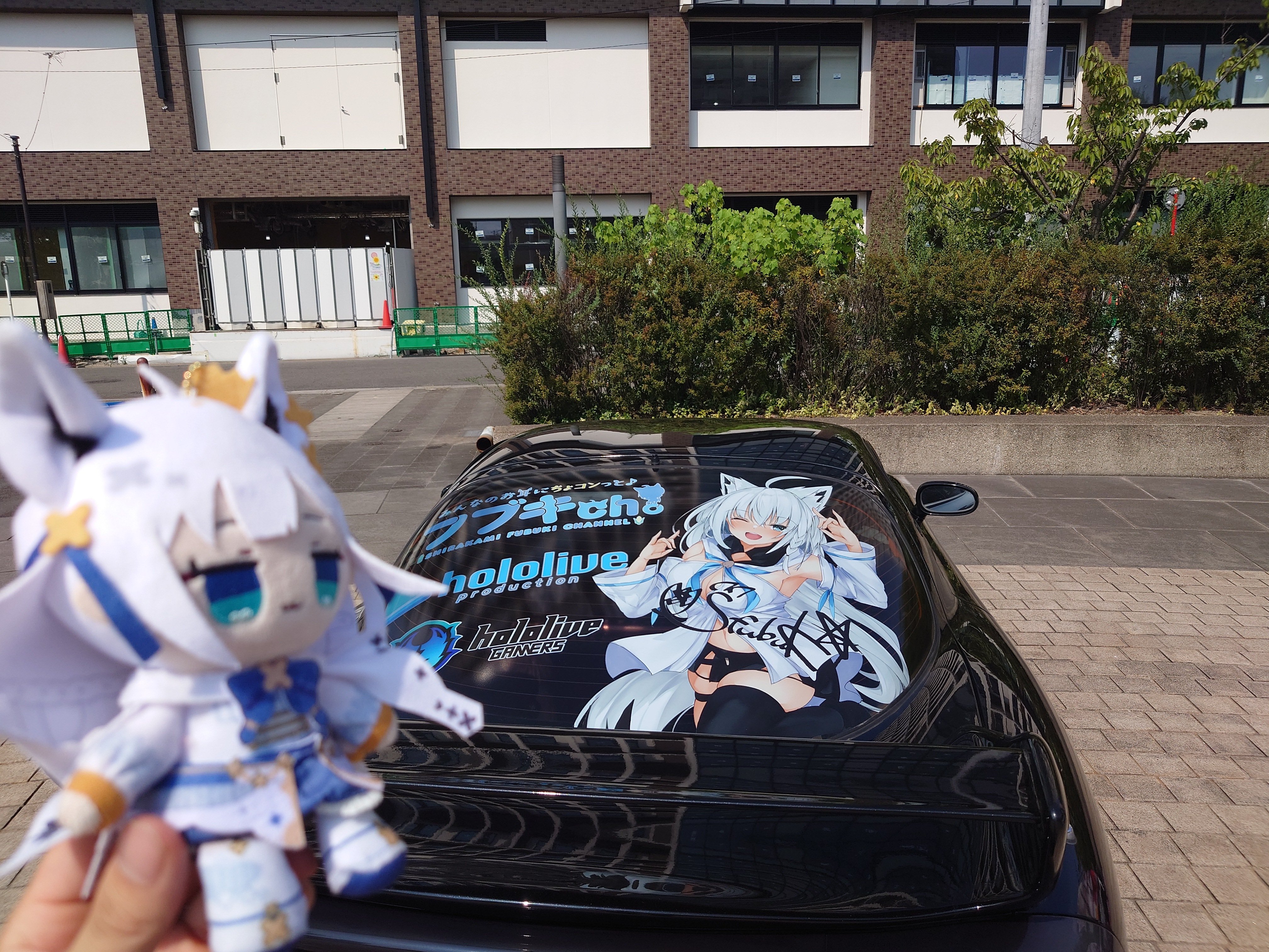のぶちゃん レネイ📸🌽 on X: 