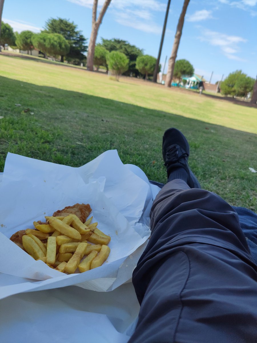 Solo fish an chippies on the grass chill no?