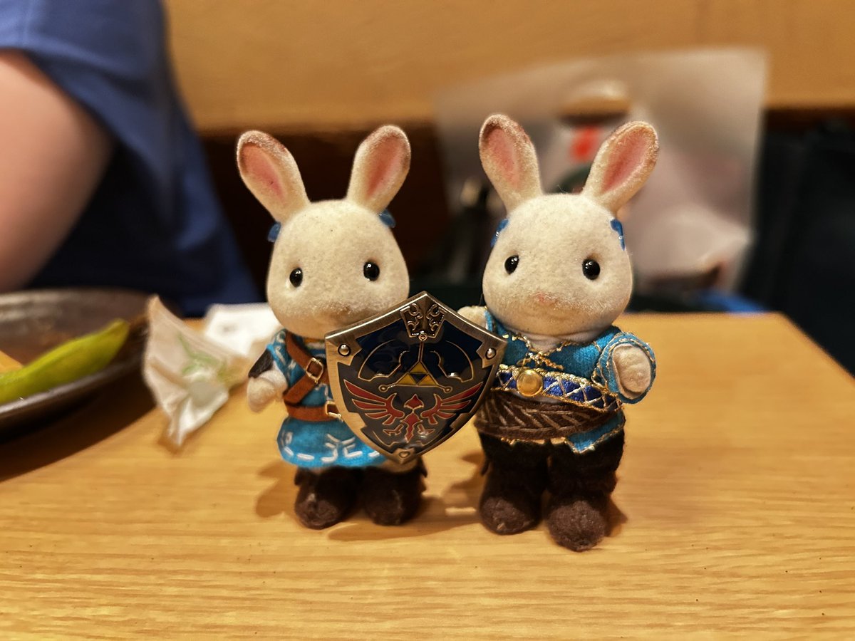 ハイラルの盾を手に入れた‼️