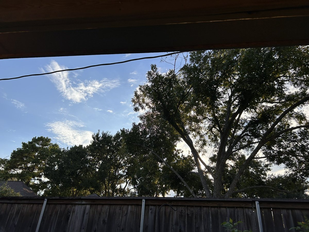 Want to see beauty?  It’s right in your very own backyard!