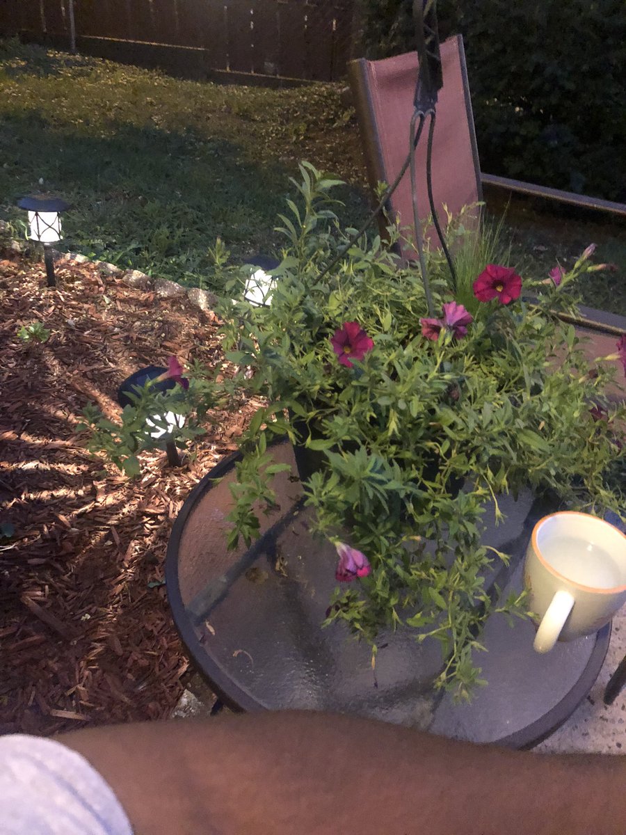 Finally got a chance to sit out on the back patio and enjoy the breeze. #HomeSweetHome