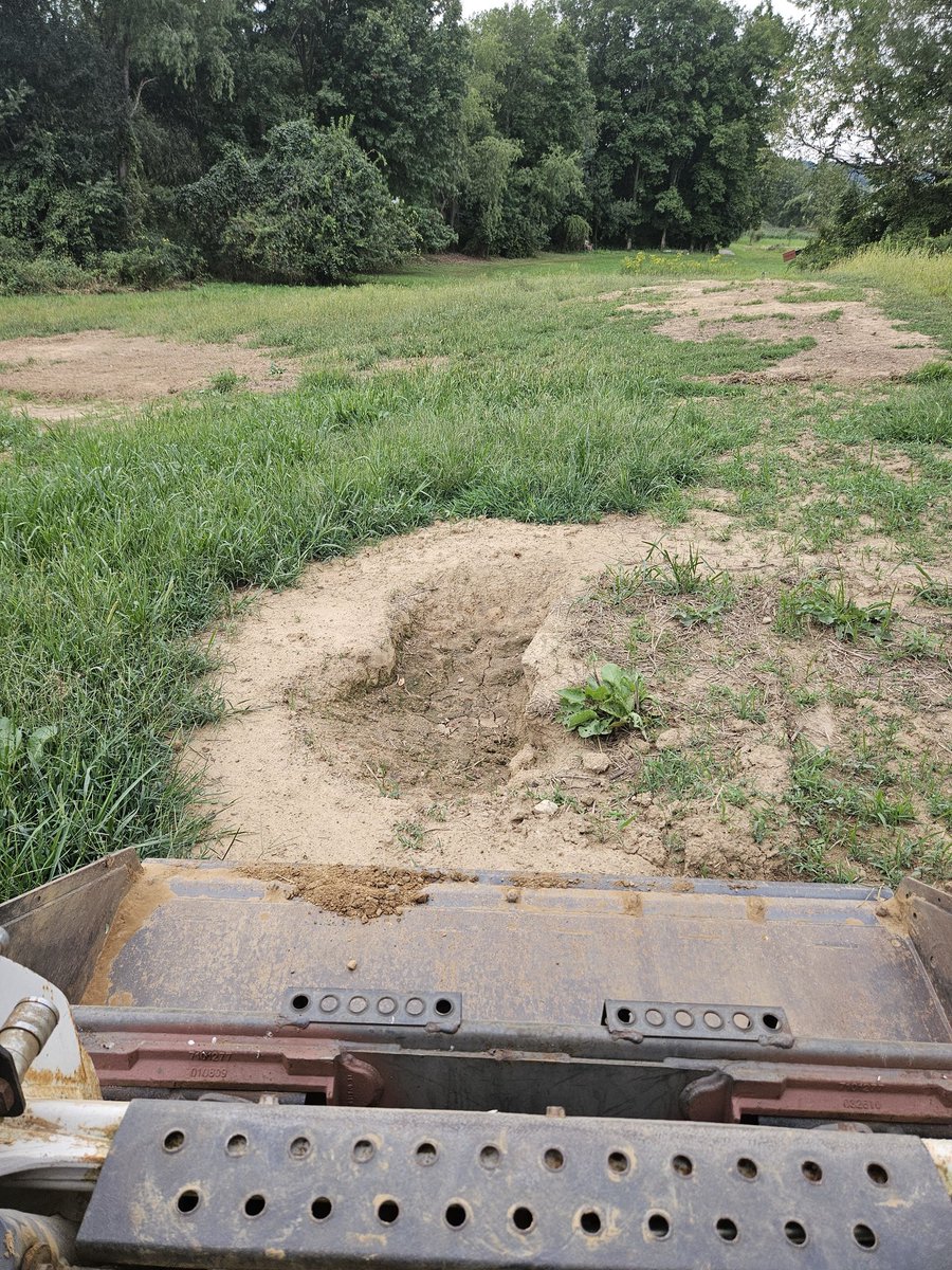 ForrestLang78's tweet image. Only downside to raising #PasturedPork is the hog craters that they dig to stay cool! Far less severe than in years past thanks to mounting the waterer and feeder on skids now! 

Big thanks @GGunthorp for that idea!