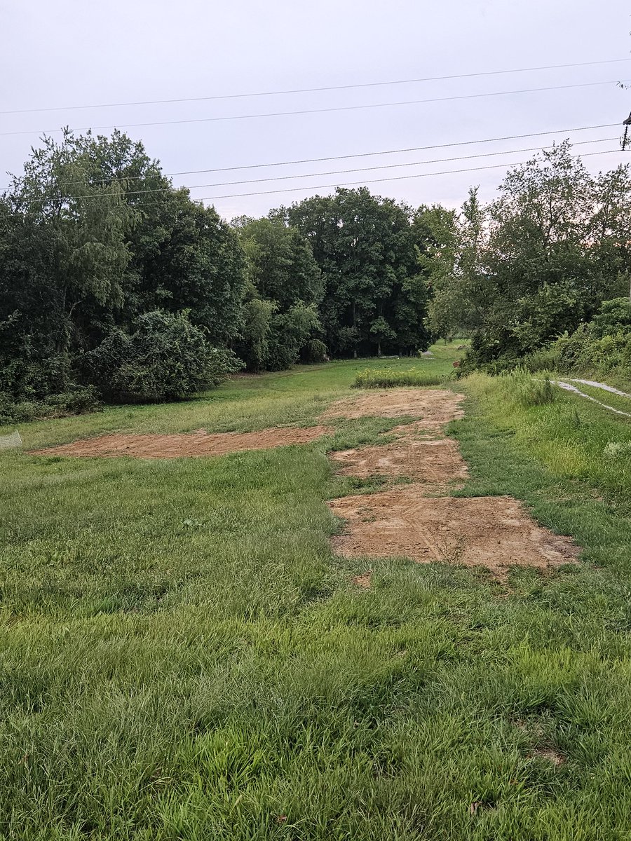ForrestLang78's tweet image. Only downside to raising #PasturedPork is the hog craters that they dig to stay cool! Far less severe than in years past thanks to mounting the waterer and feeder on skids now! 

Big thanks @GGunthorp for that idea!