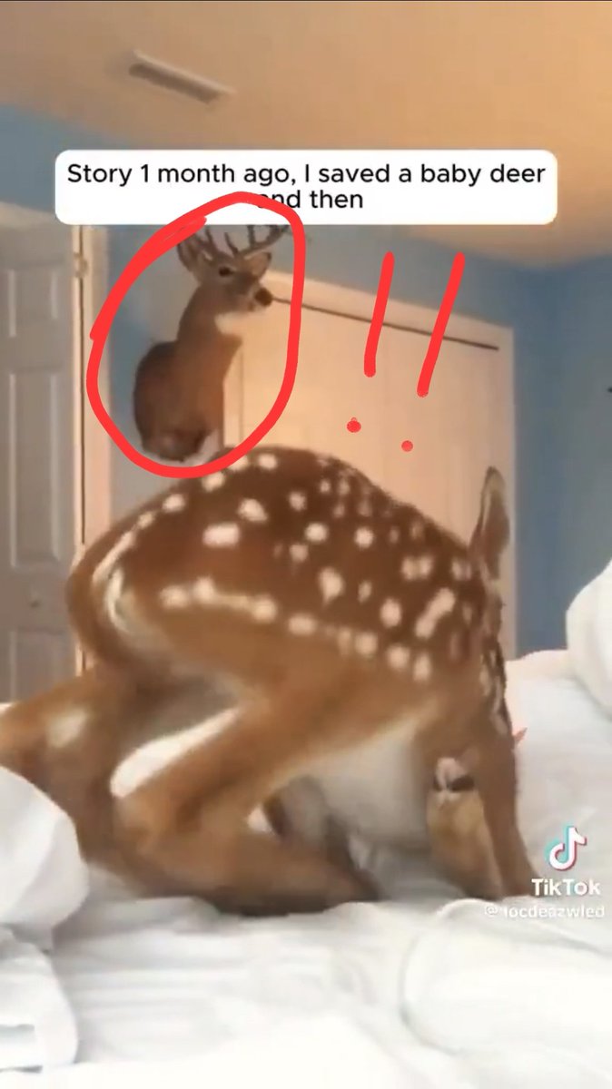 Timothy Easley tweet media