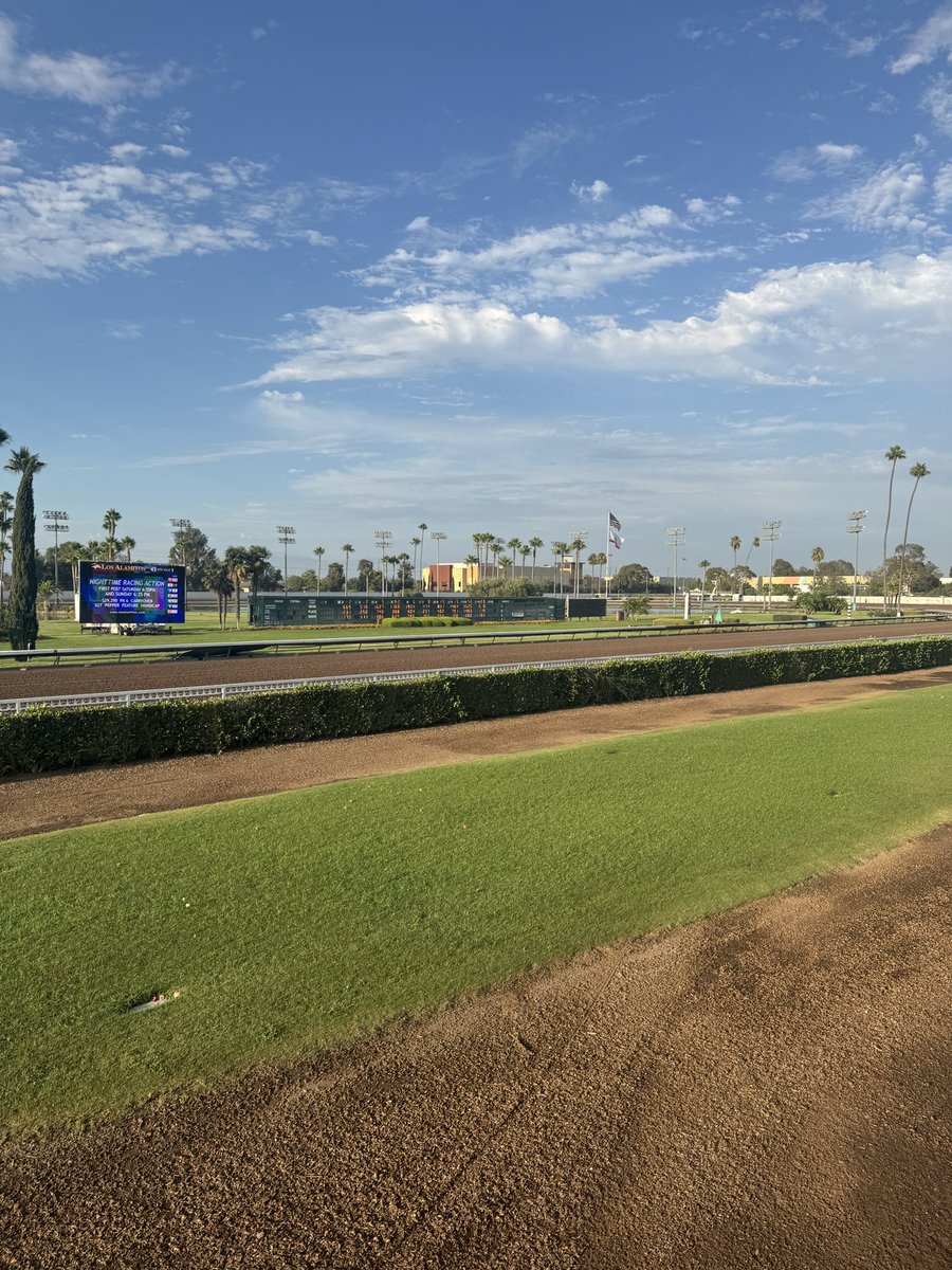 My picks for <a href="/losalracing/">Los Alamitos Race Course</a> Saturday Night:
R1: 2-3-1
R2: 6-1-2
R3: 7-3-1
R4: 3-1-5
R5: 7-4-2
R6: 7-1-8
R7: 5-3-6
R8: 2-4-6
R9: 5-2-7

Pick-6 carryover $29k+
📺: <a href="/FanDuelTV/">FanDuel TV</a> 
Pick-4 tickets &amp; more: <a href="/FanDuel_Racing/">FanDuel Racing</a> 
Racing.FanDuel.Com