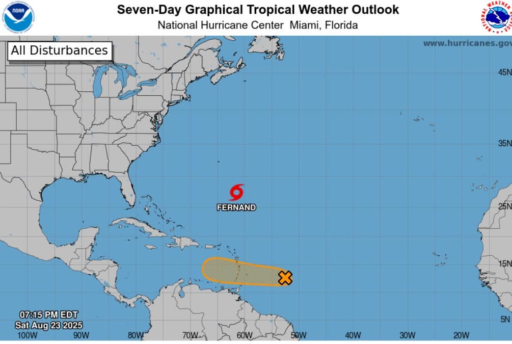 NEMO SVG tweet media