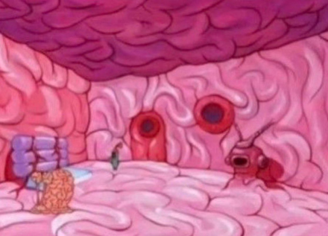 you in her dms when I built an entire house inside her pssy 😭