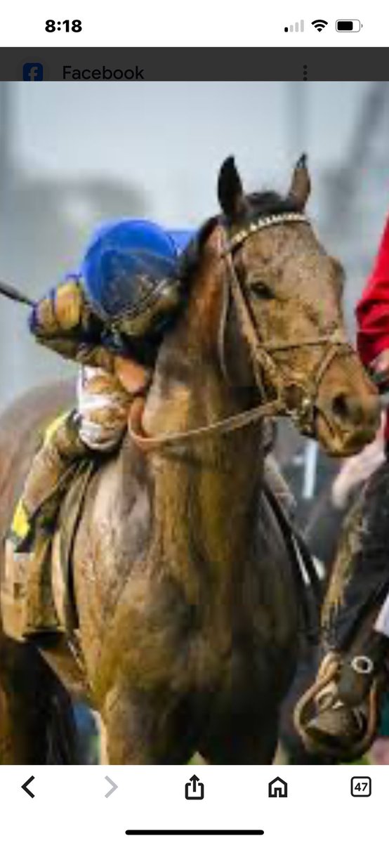 Congrats to the Mott family and all the connections! To go through the tragedy, they endured with that child and to be able to still function in society is a symbol of strength 🙏🙏🐎