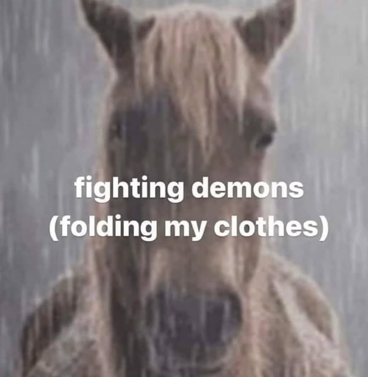 Respectful Memes (@respectfulmemes) on Twitter photo 