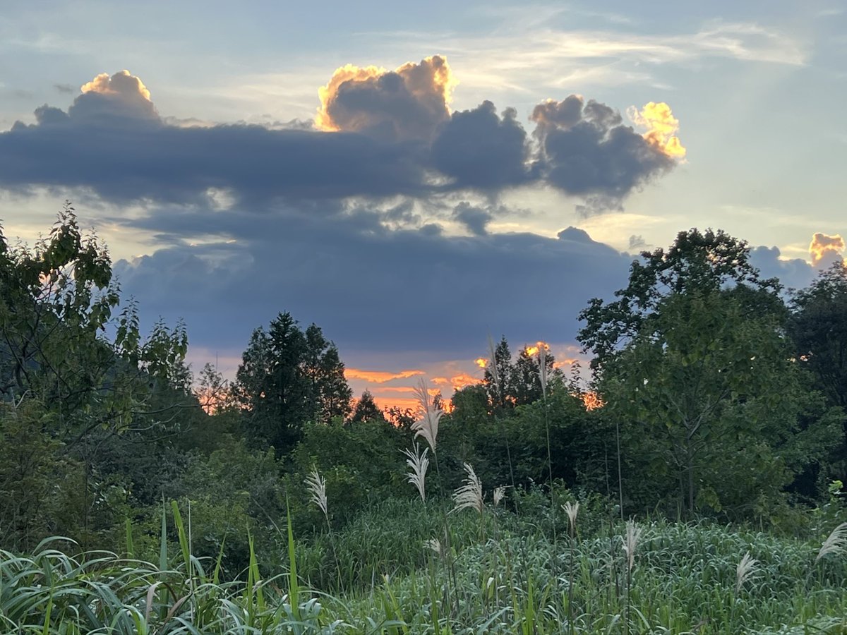 🌎 (@zhengjiudiqiu) on Twitter photo 