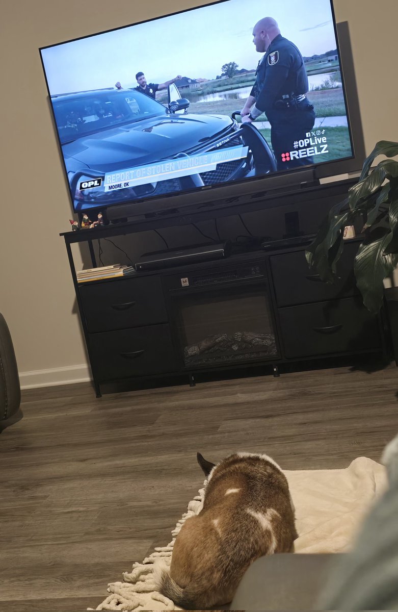 iveglez's tweet image. Ted hasn't been feeling great. He's been diagnosed with Crohn's, but he's still watching the show. #OPLive #OPNation #OnPatrolLive