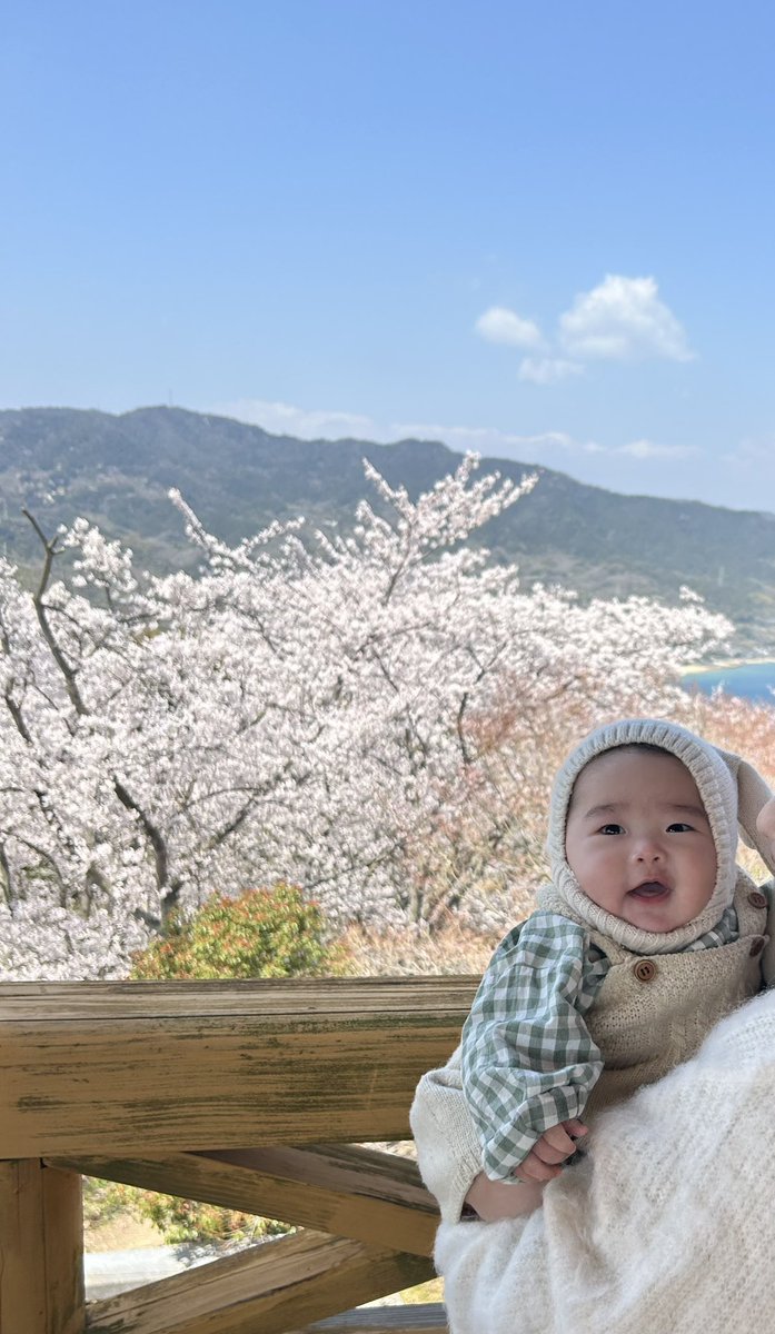 mhhn0120's tweet photo. 初めての春🌸 https://t.co/PpIBTSUxrP