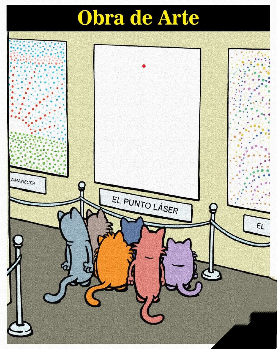 😻😻😻😻😻😻