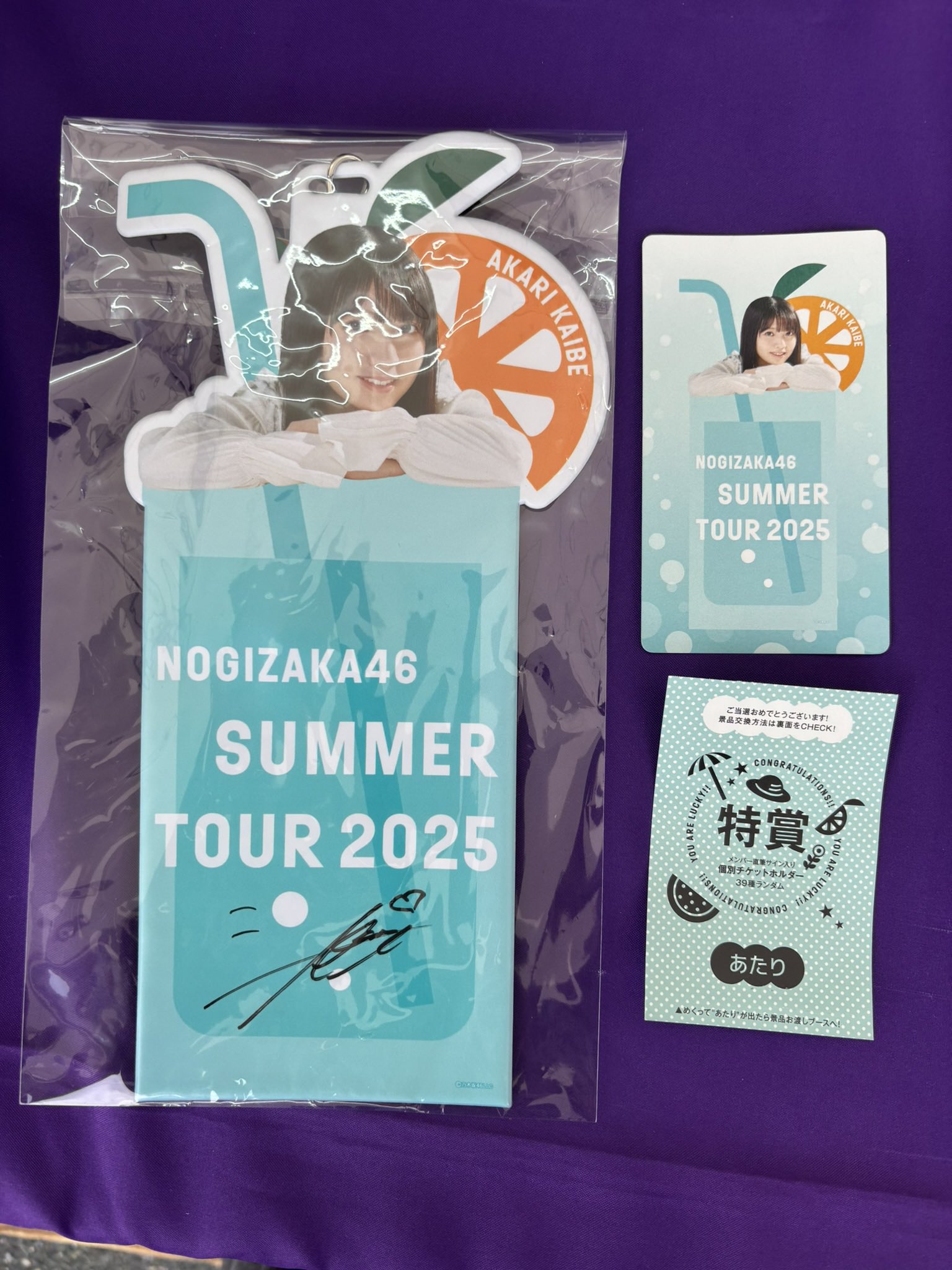佐藤璃果 真夏の全国ツアー2022 直筆サイン入り チケットホルダー？ 佐藤璃果 真夏の全国ツアー2022 直筆サイン入り チケット