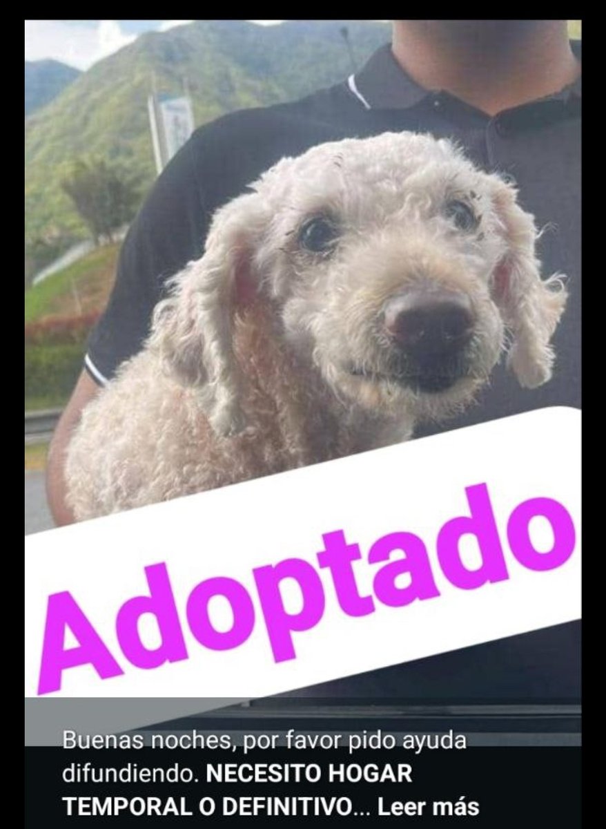 Nos encantan los finales felices 🙏