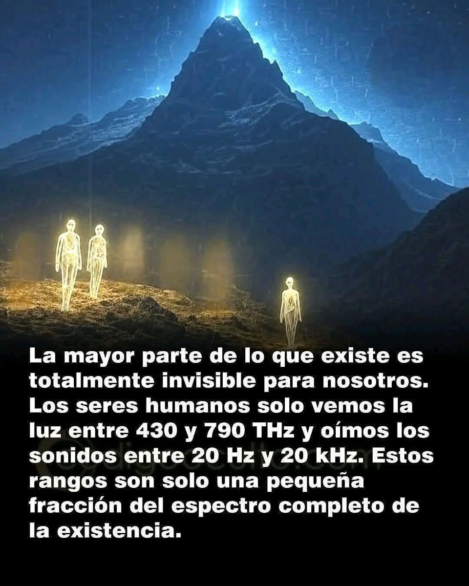 DBenandanti's tweet photo. Ya te dije 👁️ https://t.co/HhqxVnFG2x