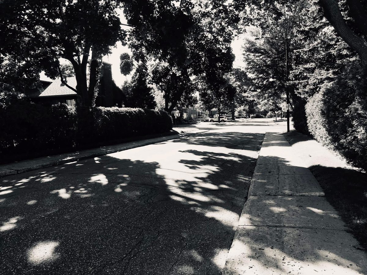 Suburban Shadows