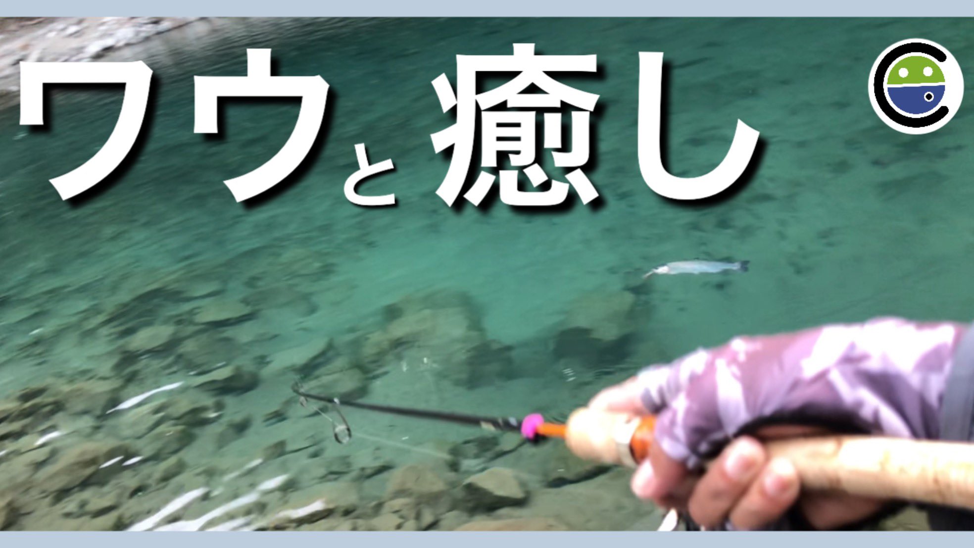 こんな釣りをしてみたい I caught the first yellowtail in my life with a ¥100 lure