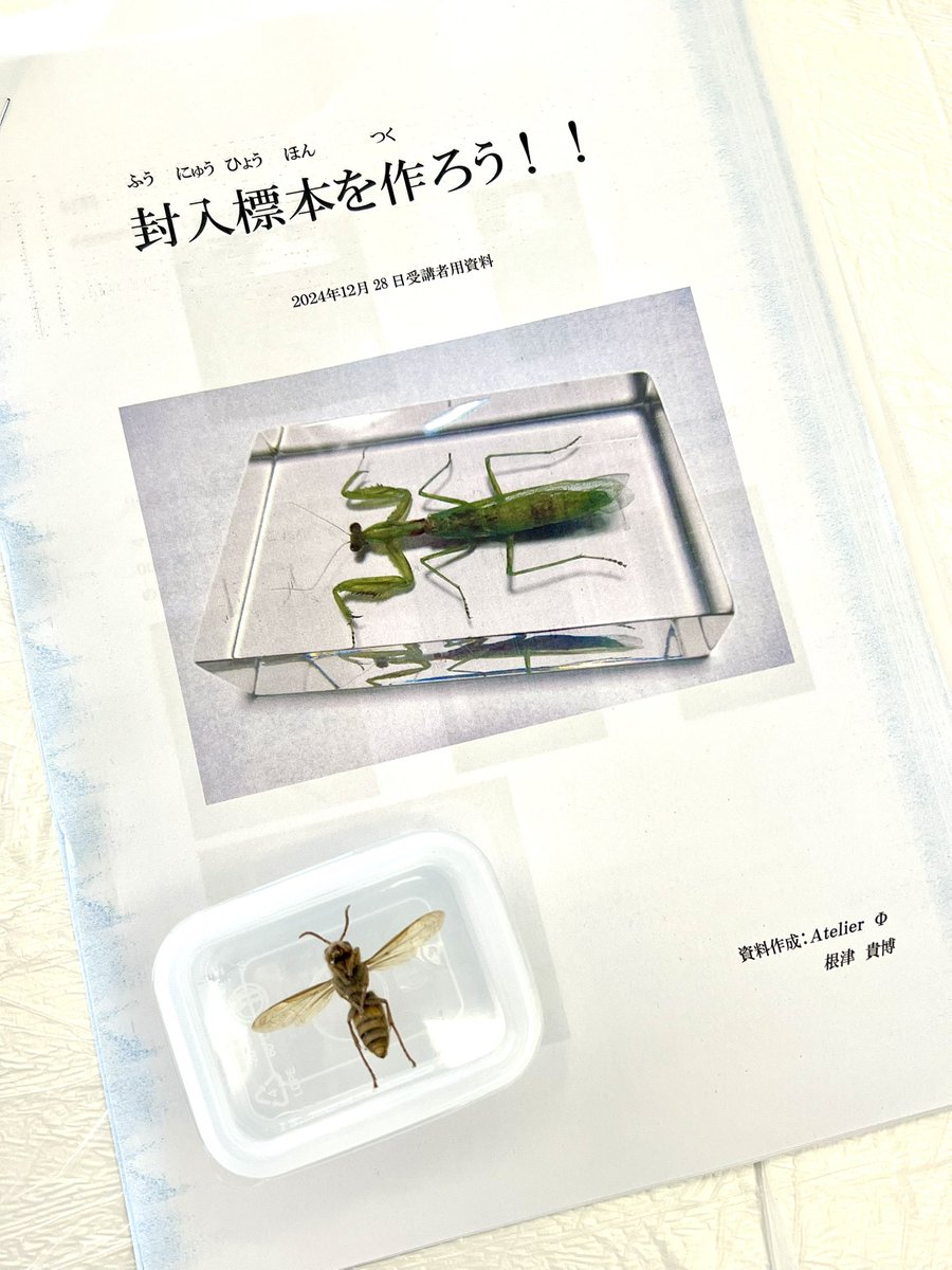 【絶版】樹脂封入標本の作り方　根津貴博 樹脂封入標本の作り方 / 根津 貴博【著】 - 紀伊國屋書店ウェブ