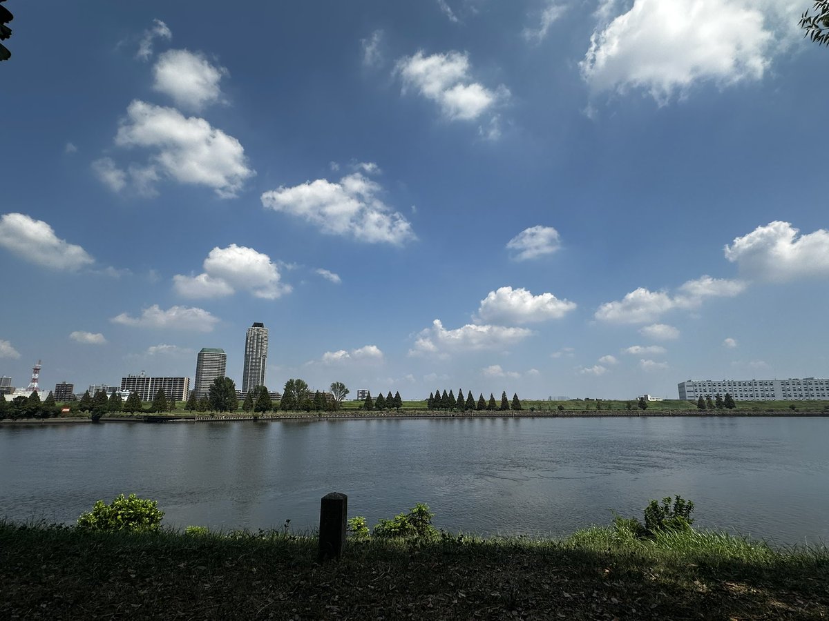 岩渕水門（赤）の公園。
こうやって見ると涼しげだけど、走るとめちゃくちゃ暑い…。