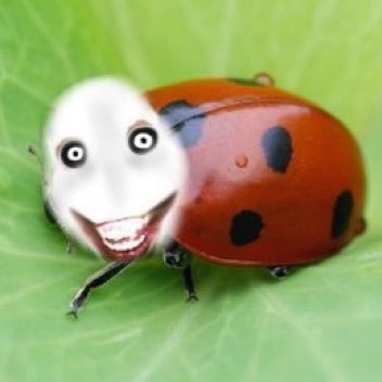 Just saw someone with this pfp