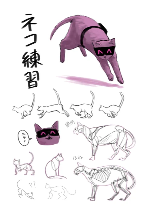 猫を、知りたい 