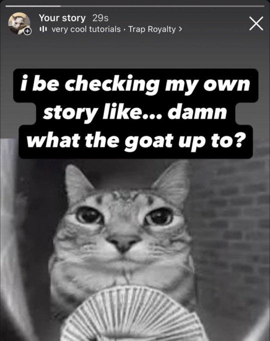 . (@imyrated) on Twitter photo 