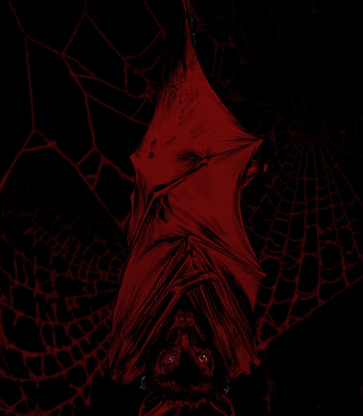 𝐃͟𝐚͟𝐡𝖑𝖎𝖆 tweet media