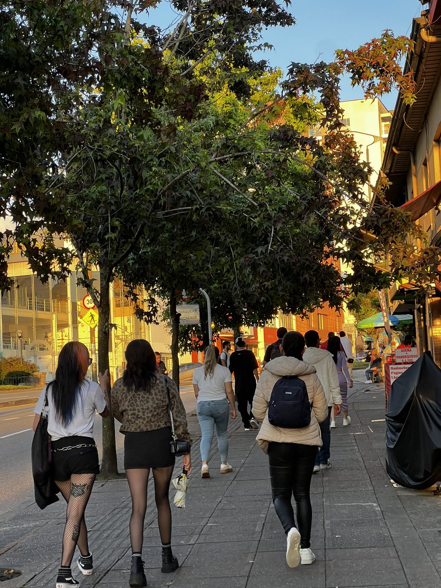 La ciudad caminable, la ciudad para la vida: Manizales.