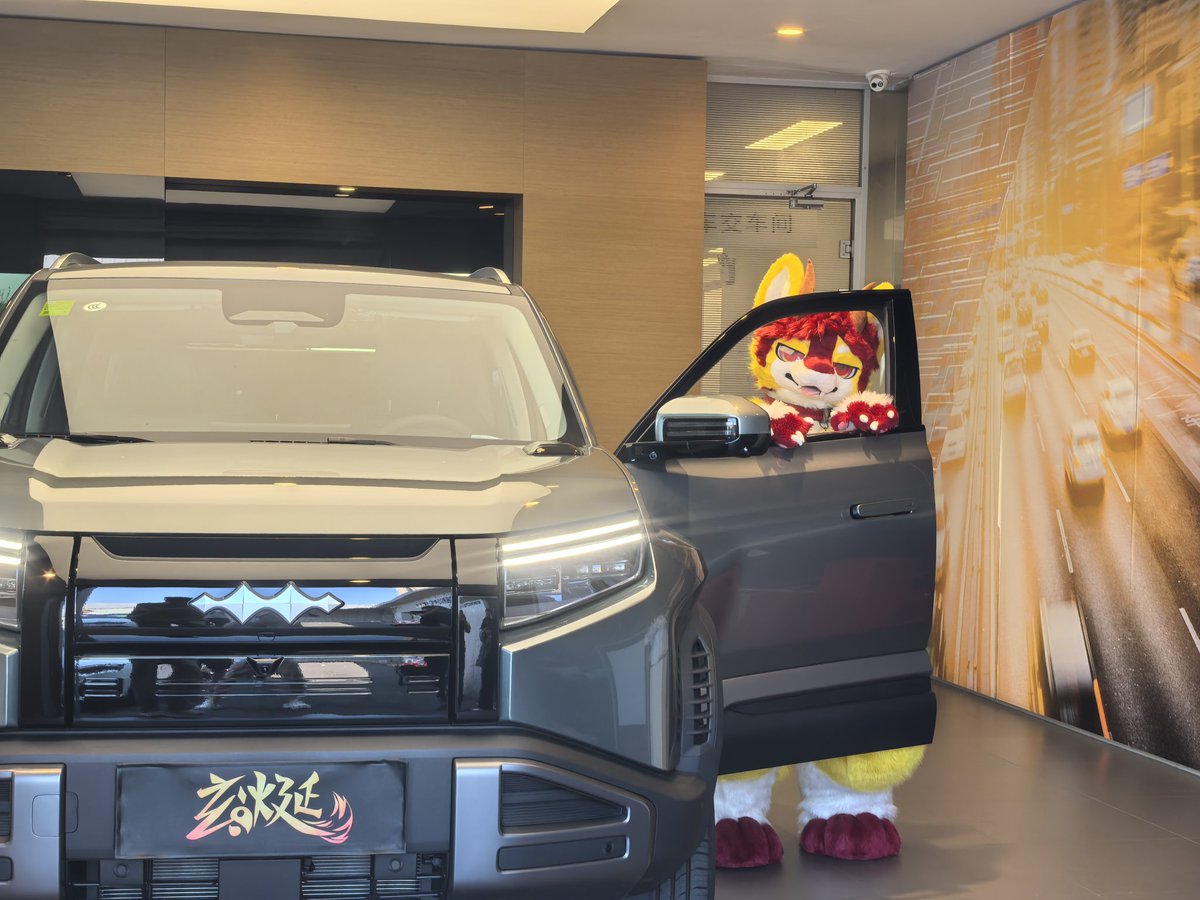 方程豹（×）龙（✓）