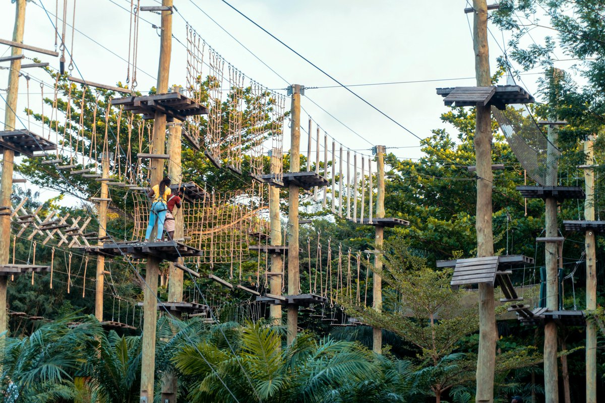 CanadaEscape's tweet photo. Who’s ready for some treetop thrills? 🌳 Checked out this epic high ropes course with stunning forest views—pure adrenaline! Perfect day trip from Toronto. https://t.co/GyL9R2J9pw 👈
#TreetopTrekking #TorontoAdventures #NatureLovers #OutdoorFun #ExploreOntario #TravelCanada https://t.co/1DsGgigM7W