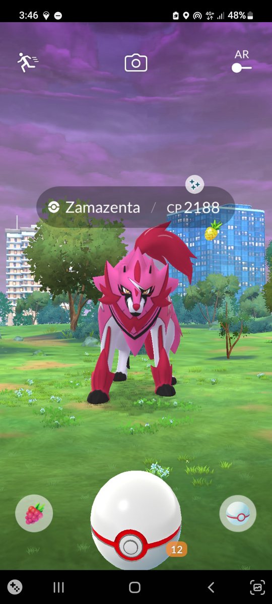 Shundo Zamazenta on yesterday's livestream! 🥳✨️💯

#shundo #zamazenta #pokemongomaxfinale #PokemonGOraid #PokémonGo