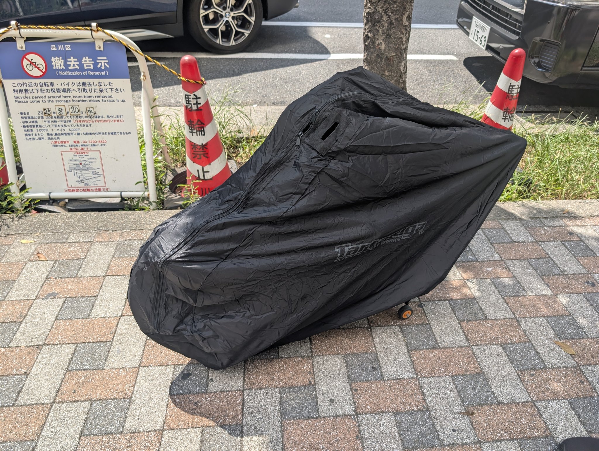 のりりん (@tiny_seed) / X