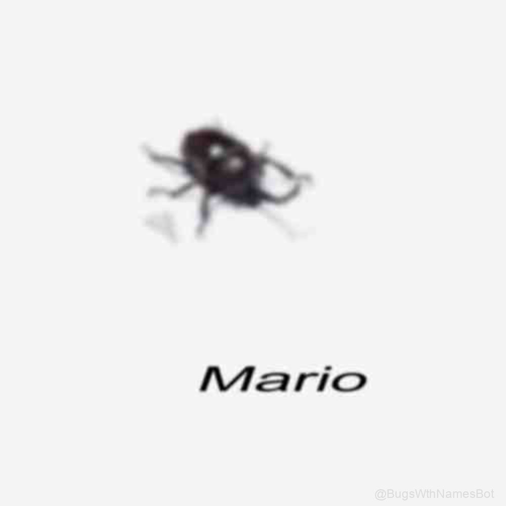 BugsWthNamesBot's tweet image. 🪲 Mario