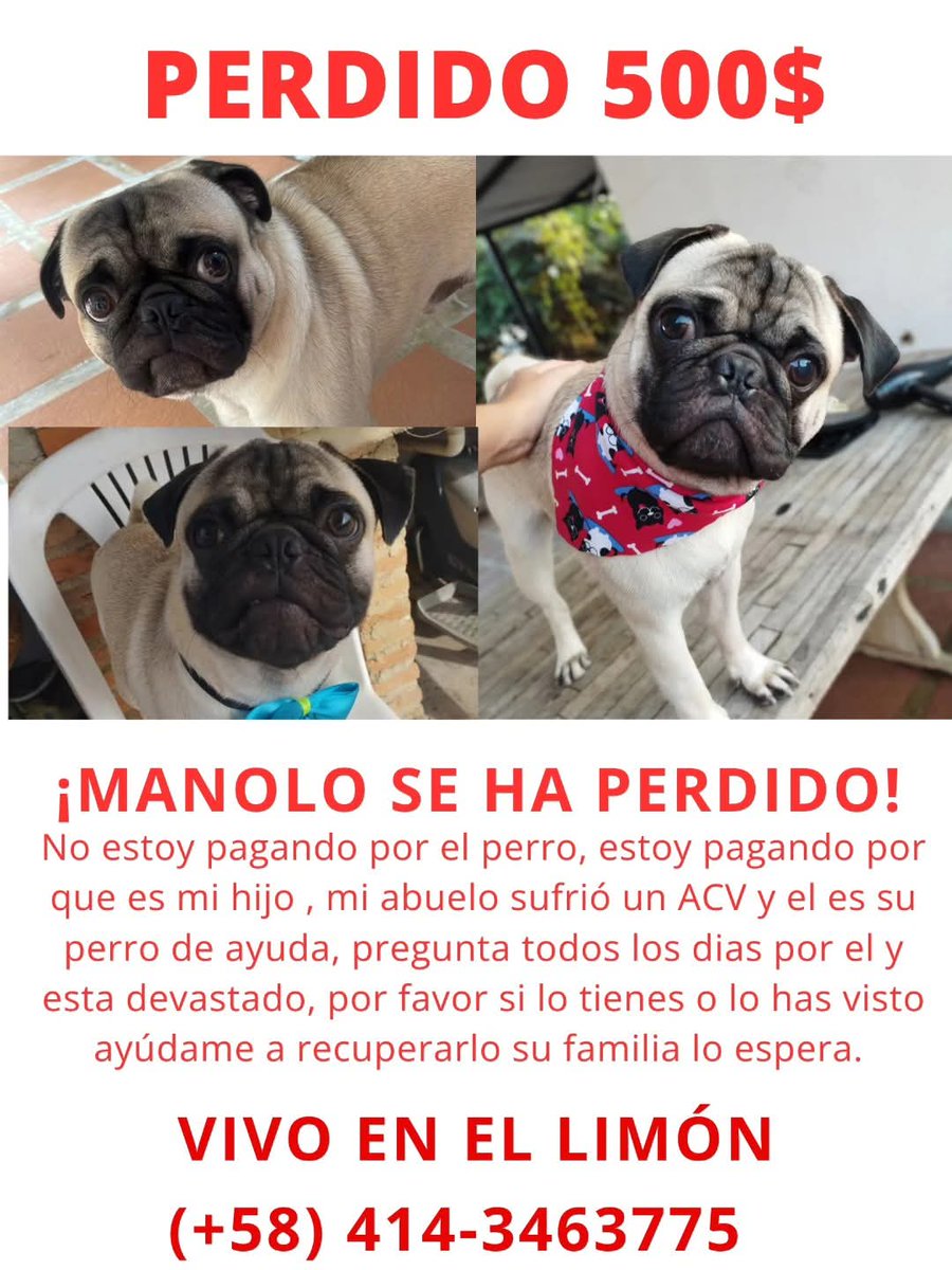 Su familia no ha dejado de buscarlo,  El Limón, Maracay estado Aragua