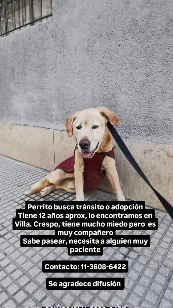 Difundimos