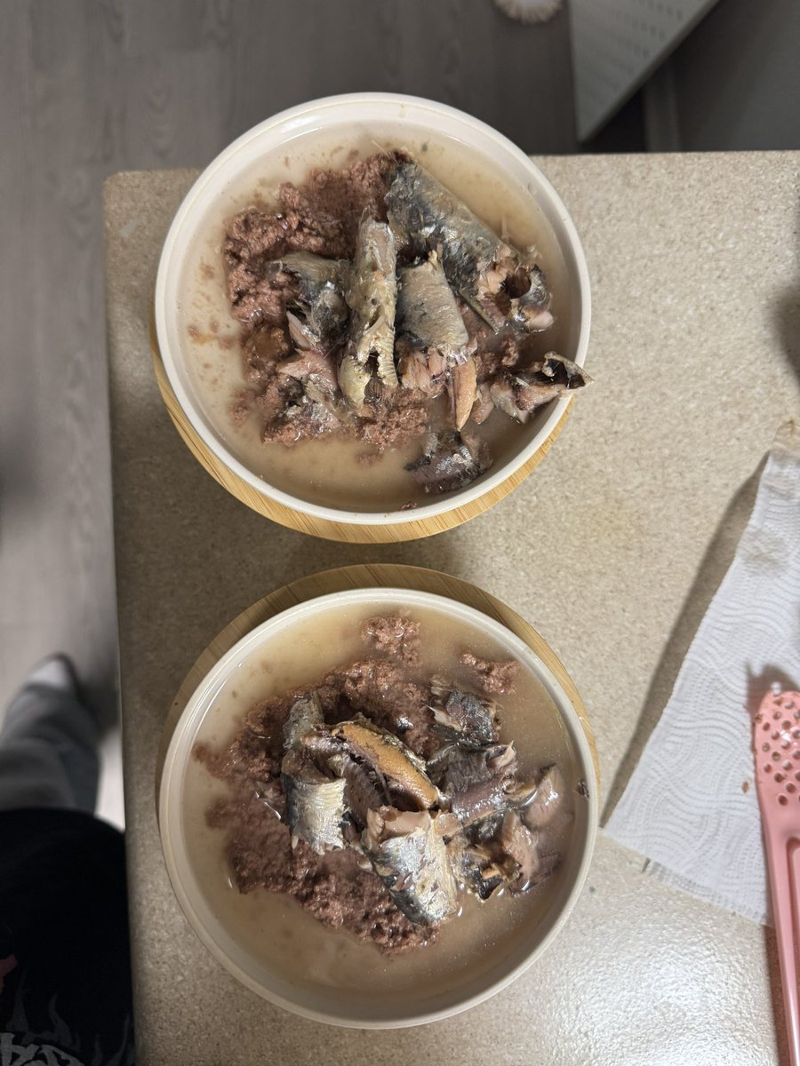 kayci ⭑ tweet media