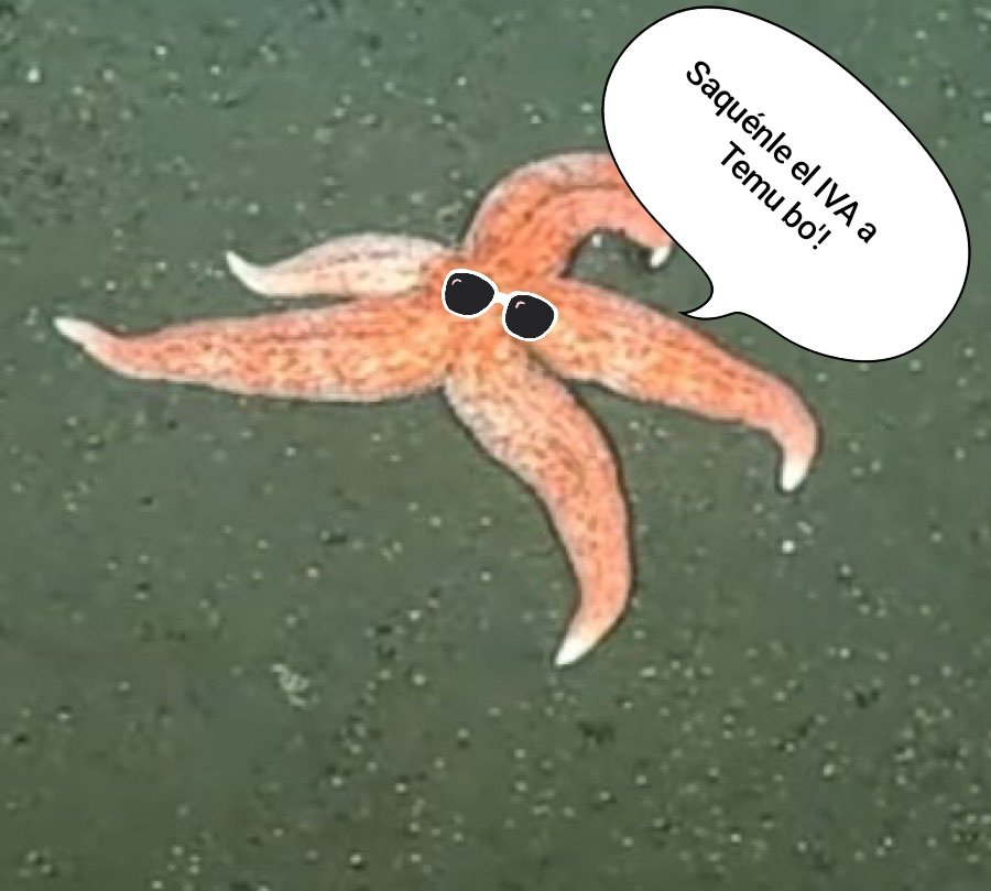 #UruguaySUB200
<a href="/Udelaruy/">Universidad de la República</a>