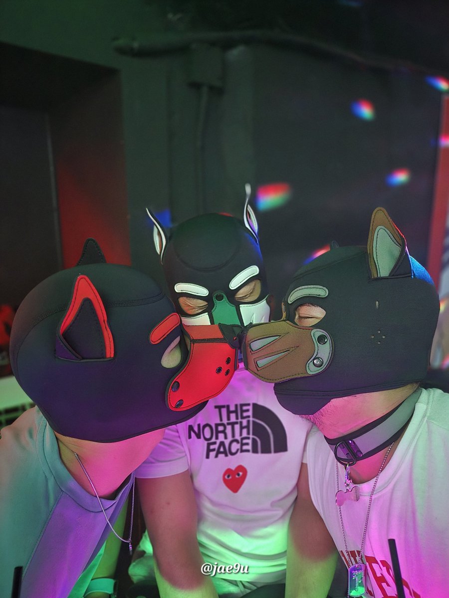 묶어준대서 달려간 나란 강아지
🪢 <a href="/0Disstopia0/">디스토피아</a> 
🔴 <a href="/c0pp_mkr/">코퍼</a> 
🟢 <a href="/Beomi_dog/">범구 🐶</a>