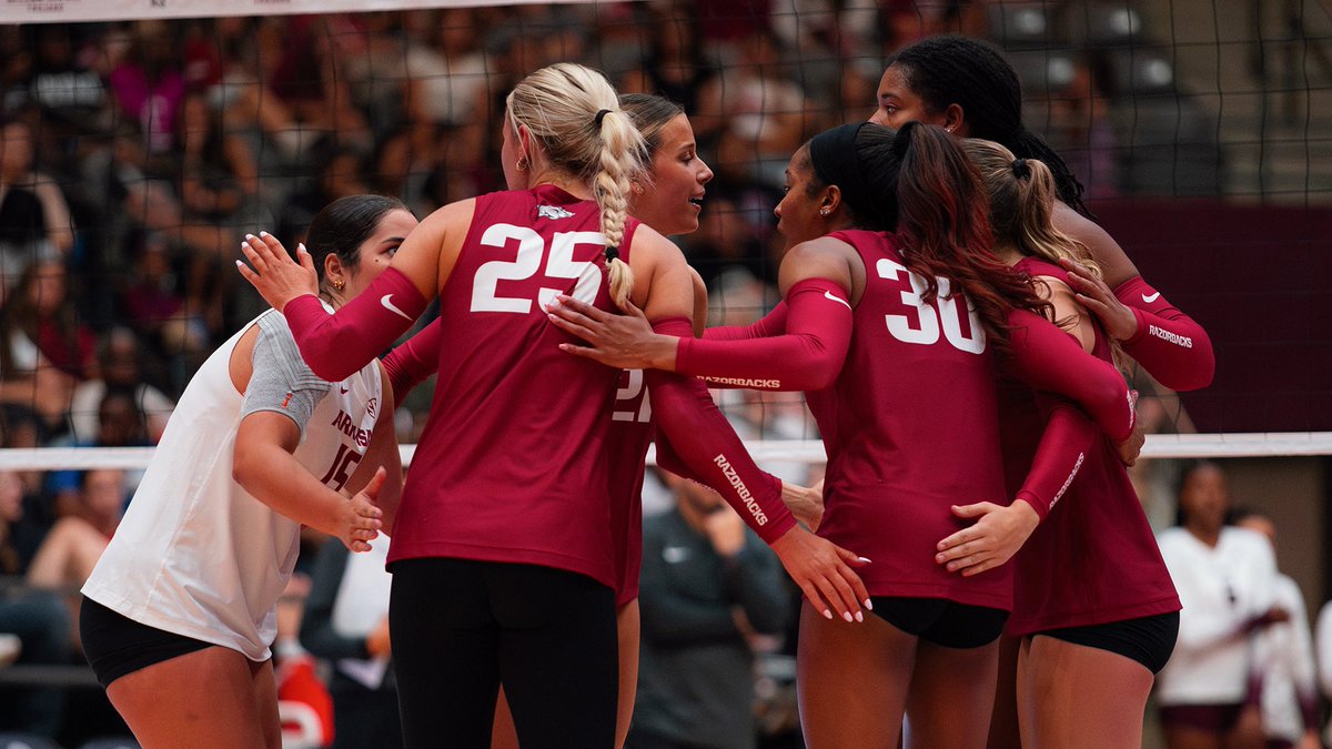 Razorback Volleyball tweet media