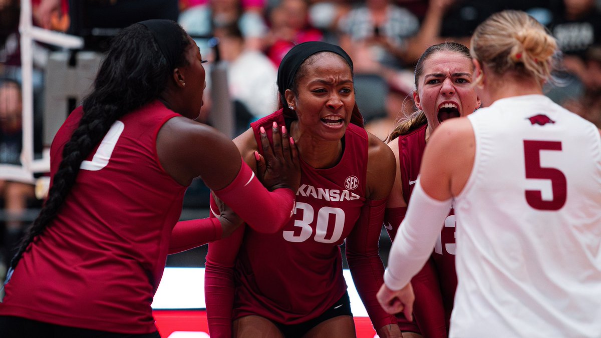 Razorback Volleyball tweet media