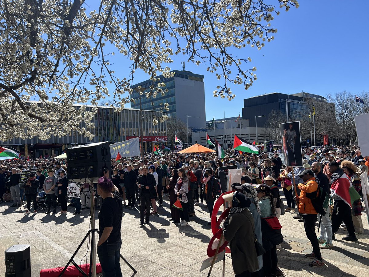 @gingergorman tweet media