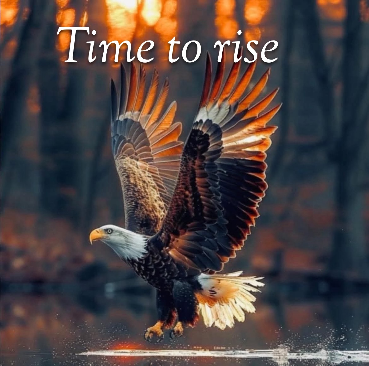 Good Sunday morning.  Soar 🦅