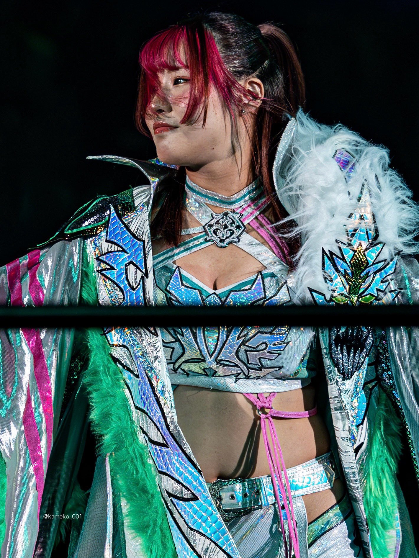 スターダム壮麗亜美選手　記念フォトフレーム スターダム壮麗亜美選手 記念フォトフレーム 壮麗亜美 | My STARDOM