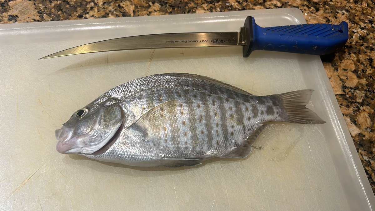 Was wondering what to make for dinner.  Problem solved