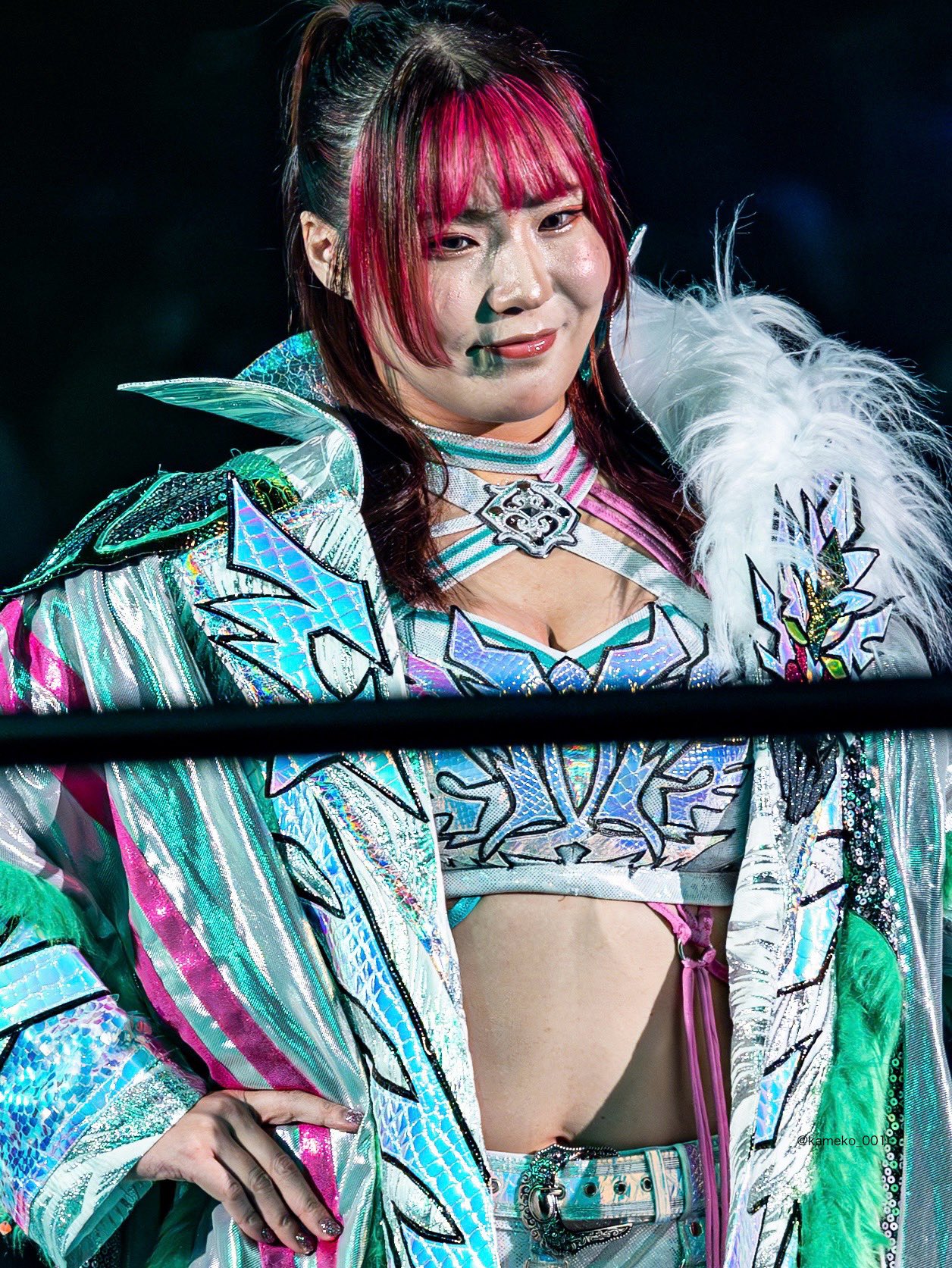 スターダム壮麗亜美選手　記念フォトフレーム スターダム壮麗亜美選手 記念フォトフレーム 壮麗亜美 | My STARDOM