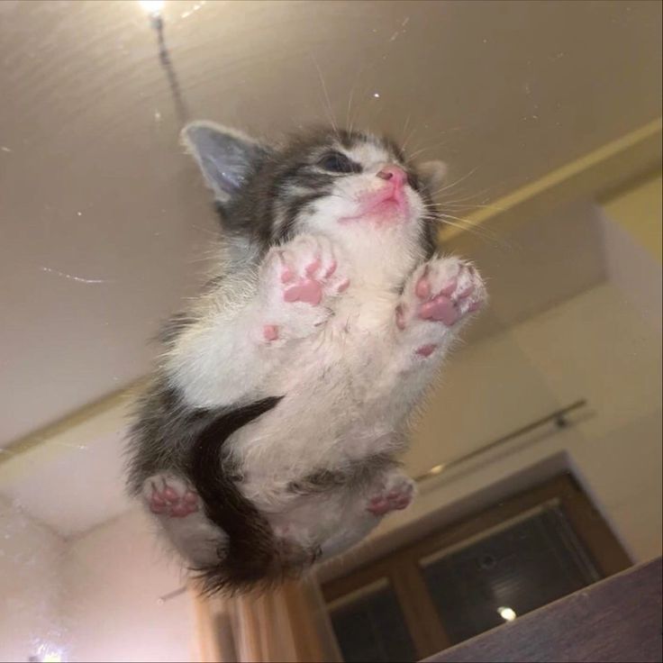 uhm,,, 😟 h how is he doing that,,, 😨